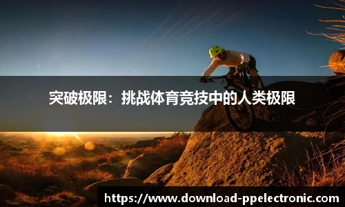pp电子官网